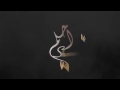 حلمت ومارضيت اهدا حلمت ومارضيت اهدا
