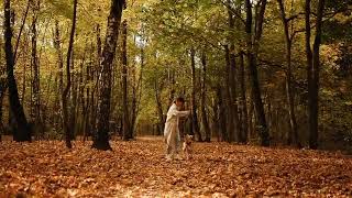 Autumn Videos, Download Free 4k Stock Video Footage \& Autumn HD Video Clips 7