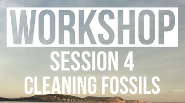 Cleaning fossils Workshop Session 4