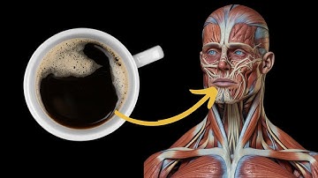 What Happens To Your Body When You Drink Coffee Every Day