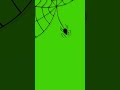 Glitch Spider Halloween Green Screen #Shorts