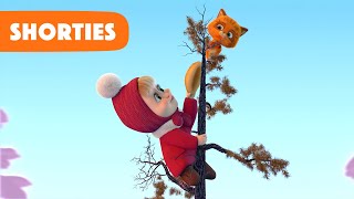 masha and the bear shorties new story march episode 30