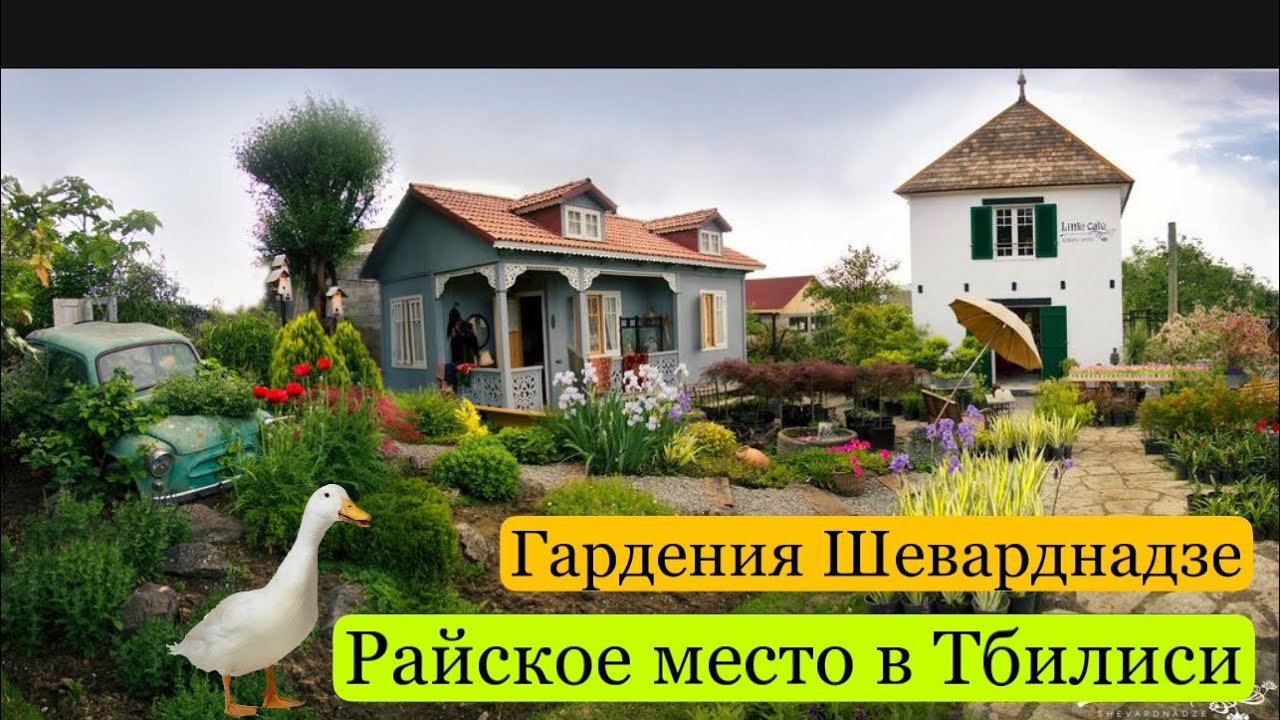 Грузия. Райское место в шумном Тбилиси. Сад Гардения Шеварднадзе. Georgia. Tbilisi.