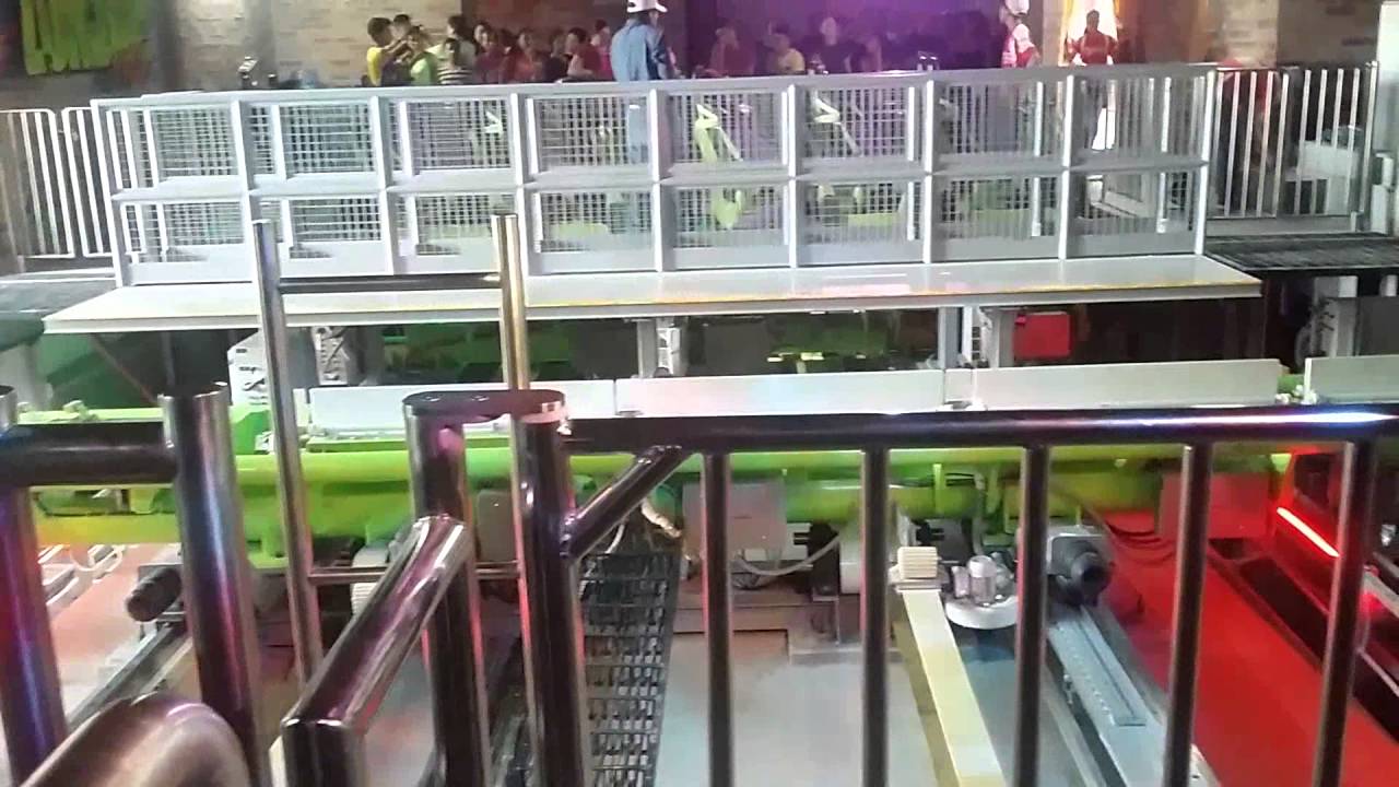 Bosque magico - Zombie Ride - YouTube