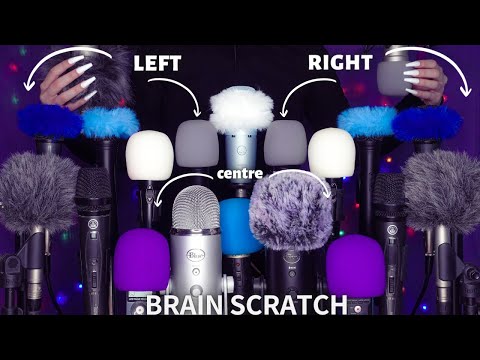 ASMR Mic Scratching - Brain Scratching with 20 MICS! 😮🎤 No Talking for Sleep with Long Nails -1 HOUR