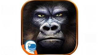 Super Gorilla Slots Journey Way Cheats iPad screenshot 1