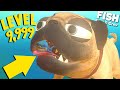 I made a LEVEL 9,999 KILLER PUG FISH! | Feed and Grow Fish