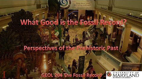 Lecture 29 What Good is the Fossil Record? Perspec...