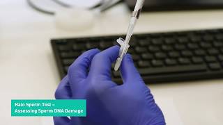 Halo Sperm Test - Assessing Sperm DNA Damage