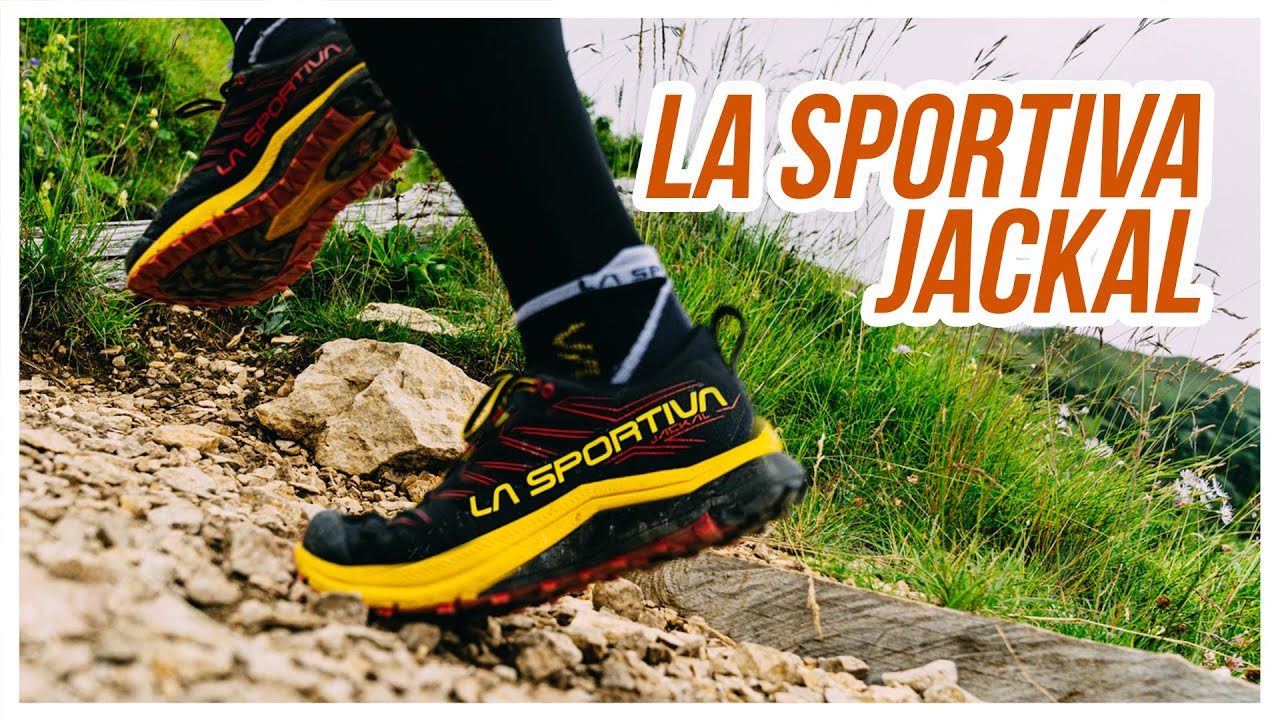 jackal scarpe