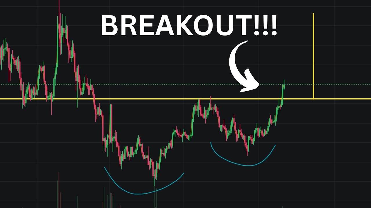 BUY BUY BUY BUY BUY BUY BUY !!!!!!!!!!!! |secret coin 14X]