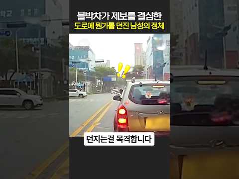 블박차가 제보를 결심한 도로에 뭔가를 던진 남성의 정체 thumbnail