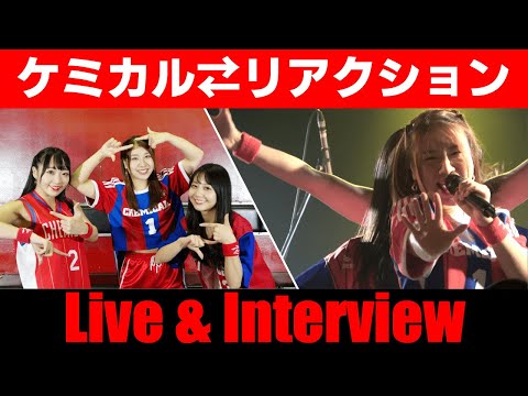 ケミカル リアクション ライブ トーク 1日1組ライブハウスで今注目のアーティスト紹介番組 MUSIC HUNTER 365 第95回