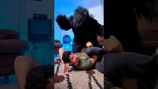 3 HOMBRES VS UN GORILA😱🦍