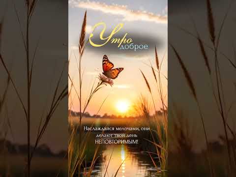 Доброе утро.#доброеутро#утренняямотивация#пожеланиядоброгоутра#цитаты#открытки#пожелания