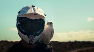 MT Falcon S| Action Video