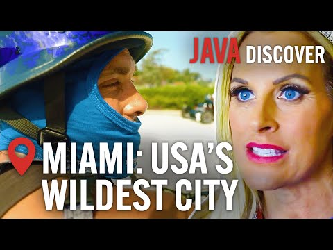 Free Florida: The Rise of Miami’s Anti-Establishment Culture