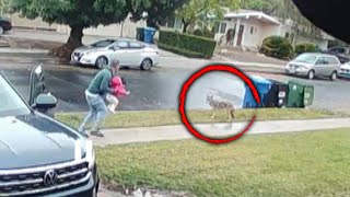 Dad Saves His Daughter From Coyote Attack screenshot 5