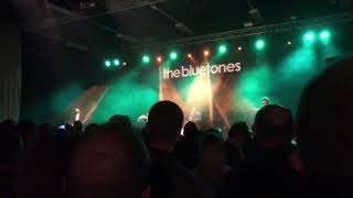 The Bluetones - Emily&#39;s Pine (live at Northumbria Institute, Newcastle 12/5/2018)