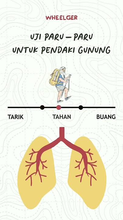 buat para pendaki/pejalan kalian harus tau cara mengatur nafas,... #jejaklangkahbidadari #shortviral