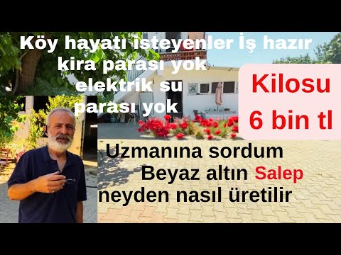 Video: Epifit Yetiştiriciliği ve Montajı ve Epifit Bitki Bakımı Hakkında Bilgi