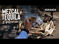 Mezcal y Tequila Diferencias /  Ejutla de Crespo, OAXACA