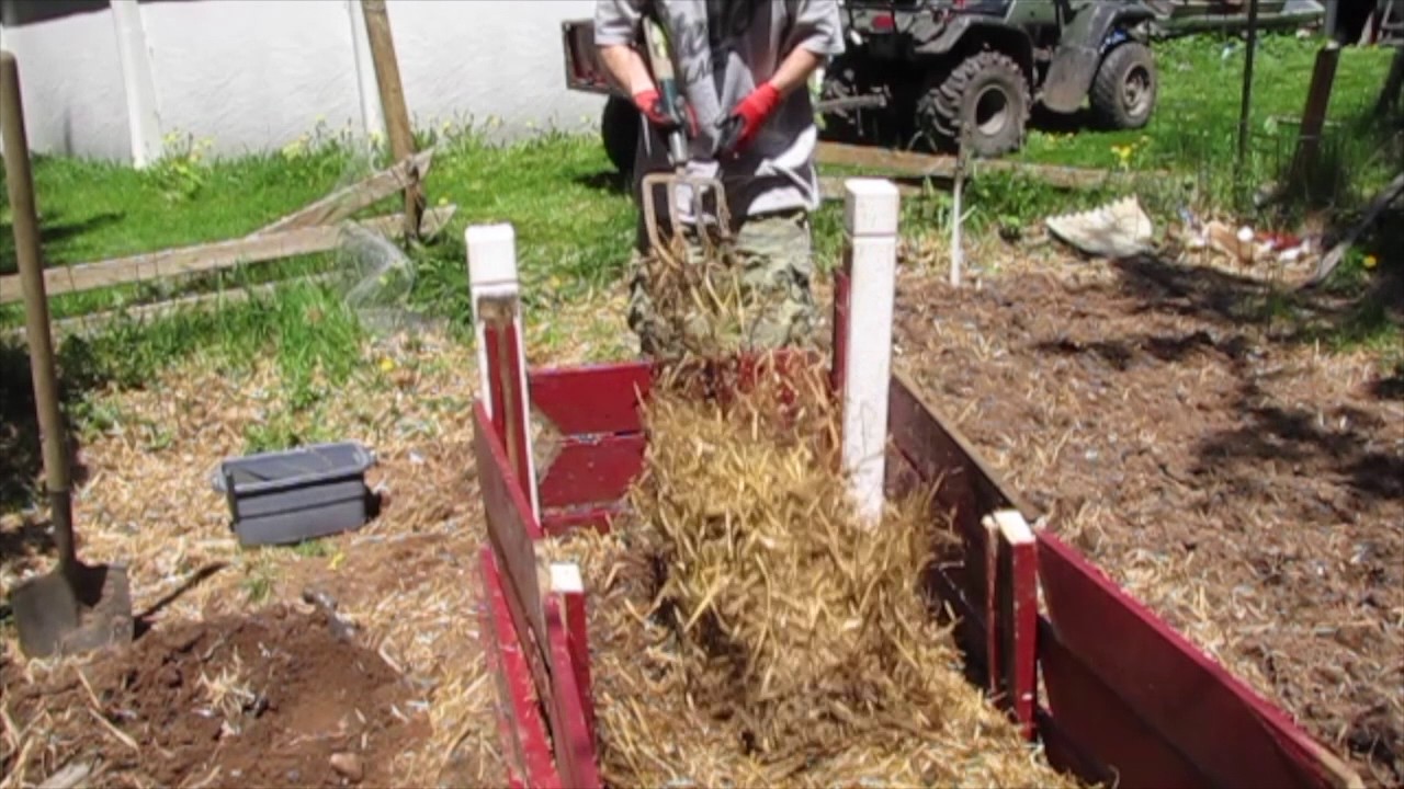 sweet potato garden box