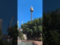 Day trip to Sydney (Part 1)
