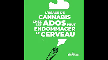 Meta 6sVideo Cannabis 1080x1080 FR 