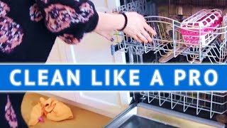 CLEAN LIKE A PRO: Cleaning the Dishwasher!