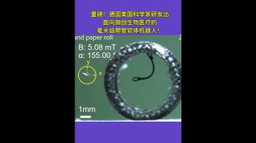 German-US Scientists Create Millimeter Climbing Soft Robot for Minimally Invasive Biomedicine