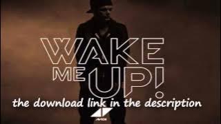 Avicii - Wake Me Up (download)