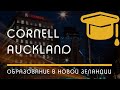 ИНСТИТУТЫ: Cornell Institute Of Business and Technology, город Auckland