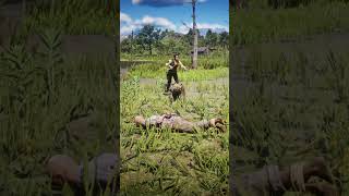 Great Survival Skills v209 | Mountain Lion Attack in RDR2 | #shorts #shortsfeed