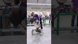 Today in the workshop to show you how to use V18