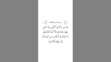 سورة الأنعام ٣٨