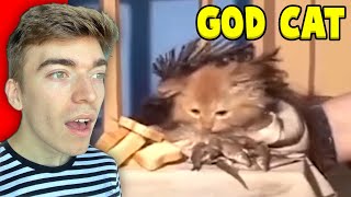 REACTING TO UNUSUAL MEMES COMPILATION