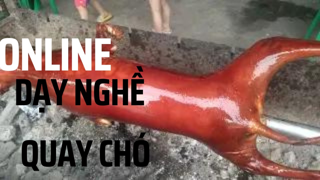 Dạy nghề quay chó online xem là làm được| Bán gia vị chó quay chuẩn vị ...