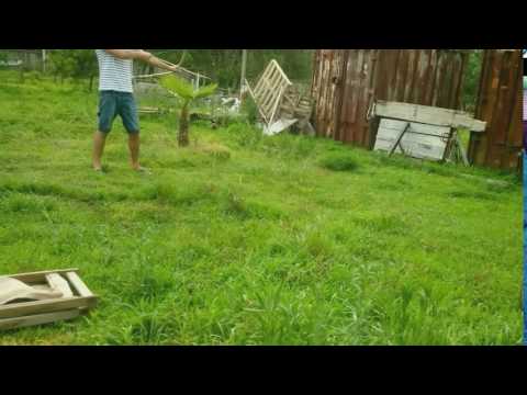 გიორგი გელოვანი giorgi gelovani