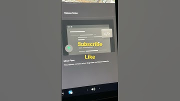New Tesla Model 3 update 2023.6.11 minor bugs and fixes?
