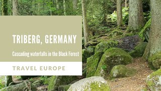 Black Forrest Waterfall Hike | Germany | 2021