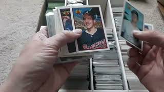 Antique Mall Sports Card Box Rummage - Continuation Of The 90s Time Capsule