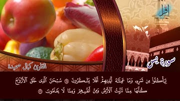 سورة يس برواية قالون للقارئ الشيخ كمال صميدة : تلاوة هادئة ترق لها القلوب