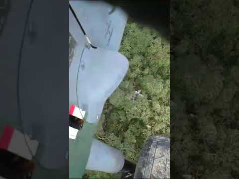 Destroços de avião 'camuflados' na Serra do Mar no Paraná