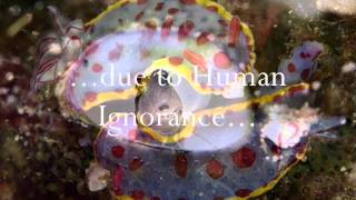 Jean Michel Jarre - Teo and Tea - Partners in Crime II...(with a message)!