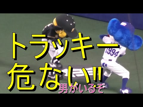 トラッキーにイタズラするドアラ‼「トラッキー危ない．．．男がいるぞ‼」