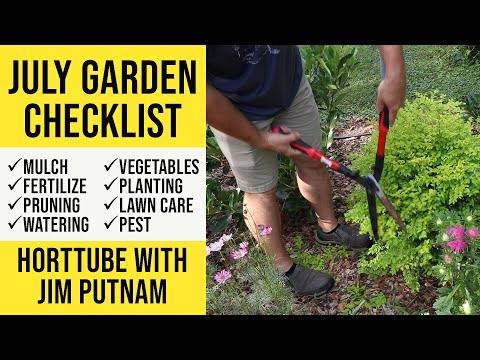 Vidéo: July Garden Tasks – Liste de choses à faire pour le jardinage dans le sud-est