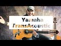 DAVID PALAU - Guitarras TransAcoustic Yamaha