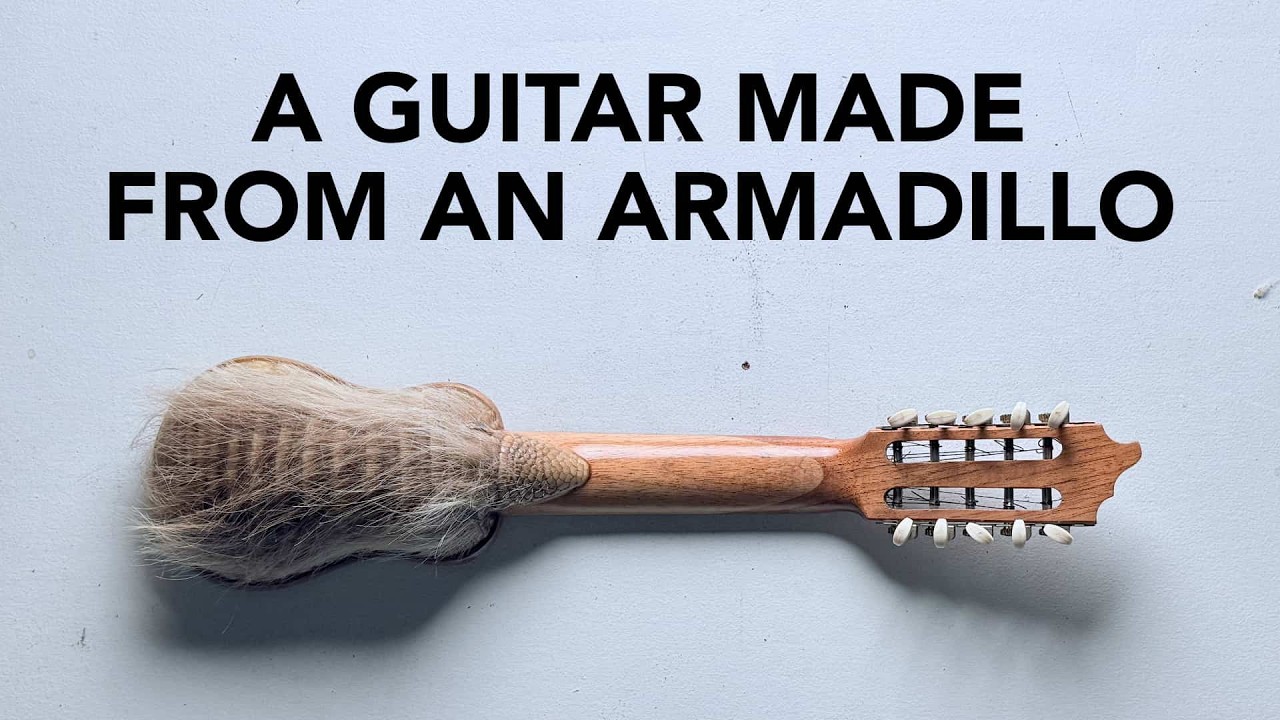 I finally got a Charango! It's a guitar made out of an armadillo shell ...