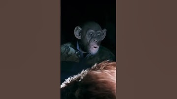 Anubis monkey #cs2 #csgo #donk #moments #s1mple